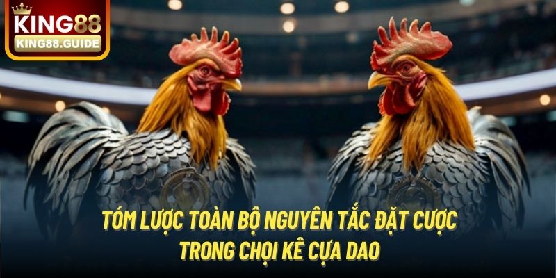 Tóm lược toàn bộ nguyên tắc đặt cược trong chọi kê cựa dao