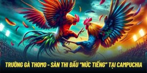 Trường Gà Thomo - Sàn Thi Đấu “Nức Tiếng” Tại Campuchia